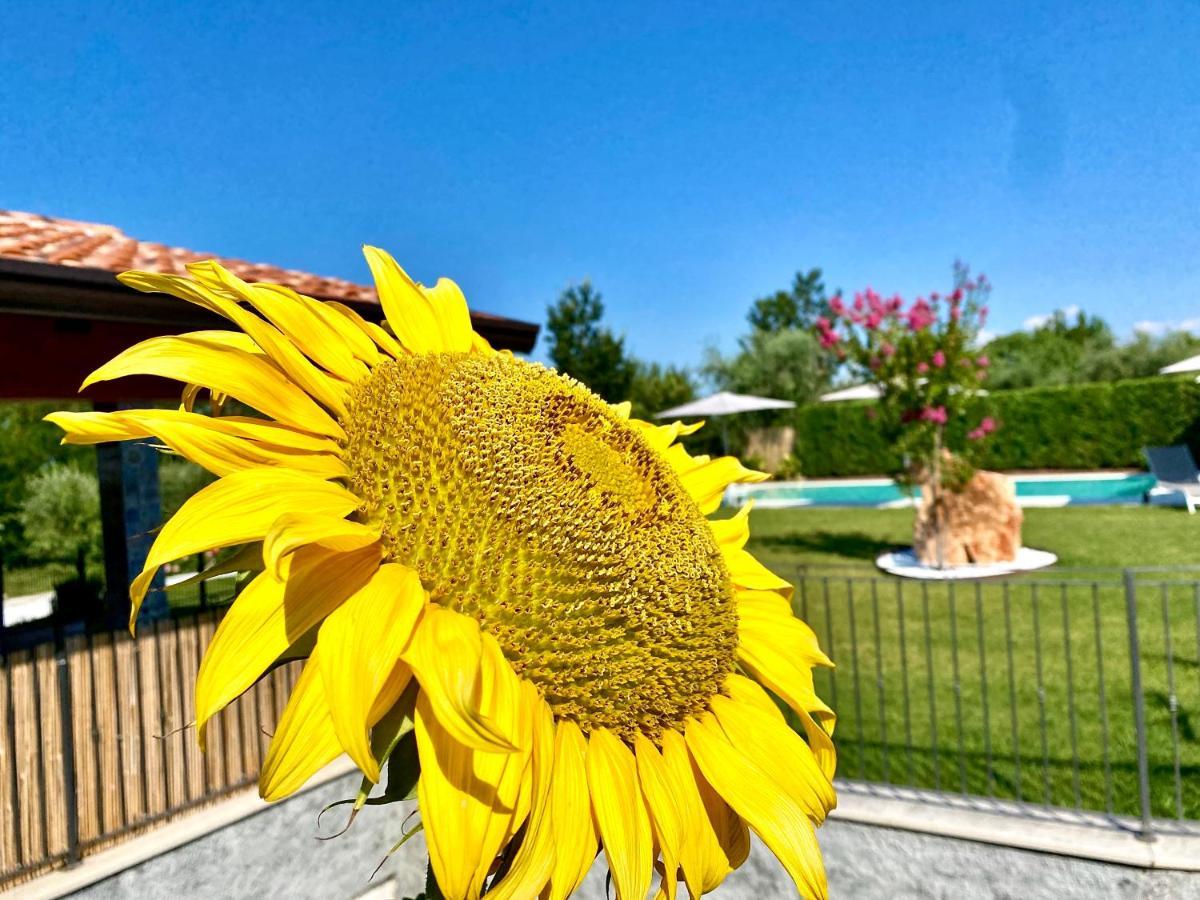 Villa Poggio Bardolino Eksteriør bilde