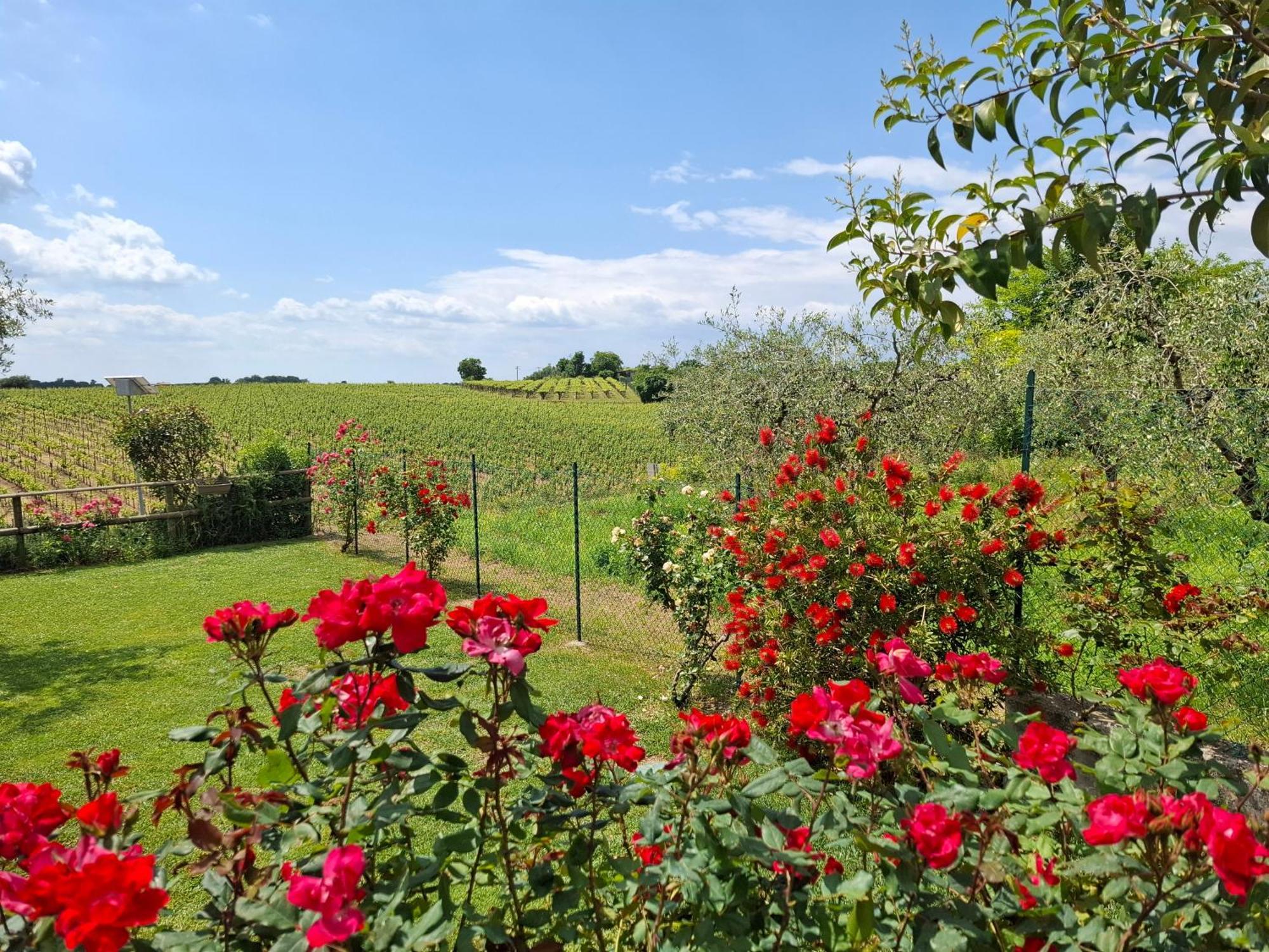 Villa Poggio Bardolino Eksteriør bilde